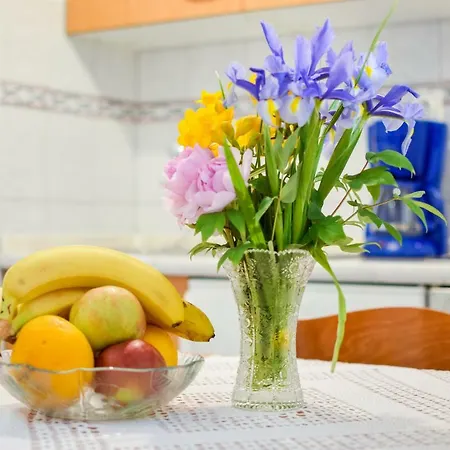 Apartman Darinka